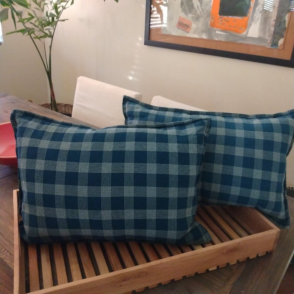 1 Pottery Barn pillow cover    LAST ONE!